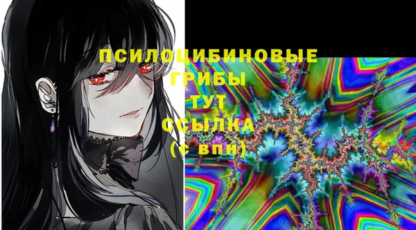 метадон Вяземский