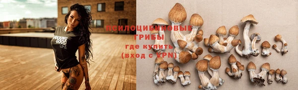 ALPHA PVP Валдай