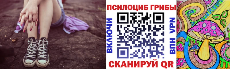 ссылка на мегу онион  Гаврилов-Ям  Псилоцибиновые грибы MAGIC MUSHROOMS 