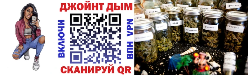 МАРИХУАНА сатива Гаврилов-Ям